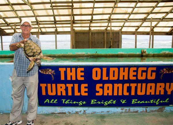 Old Hegg Turtle Sanctuary Glossary: A Complete Visitor's Guide