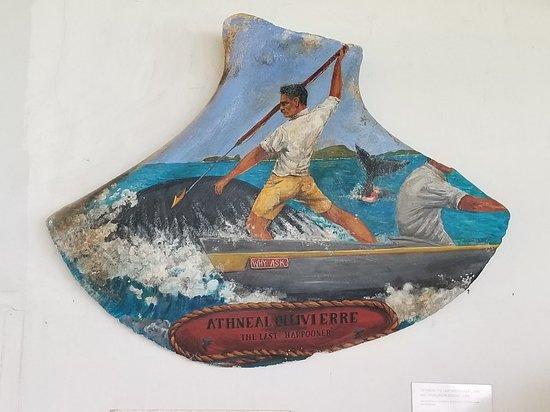 Whaling in Bequia: A Visitor's Glossary to the Island's Heritage